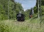 045-25/777789/fahrtag-der-trossinger-eisenbahn-am-pfingstmarkt Fahrtag der Trossinger Eisenbahn am Pfingstmarkt 2022.