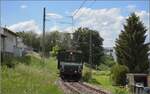 045-25/777830/fahrtag-der-trossinger-eisenbahn-am-pfingstmarkt Fahrtag der Trossinger Eisenbahn am Pfingstmarkt 2022.