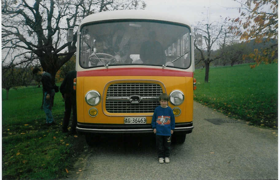 (015'710) - Flori, Wohlen - AG 36'463 - Berna/BBO (ex Merzaghi, Maroggia) am 20. Oktober 1996 zwischen Oltingen und Zeglingen