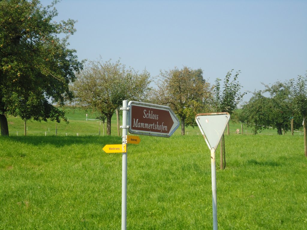(128'794) - Wegweiser zum Schloss Mammertshofen am 21. August 2010