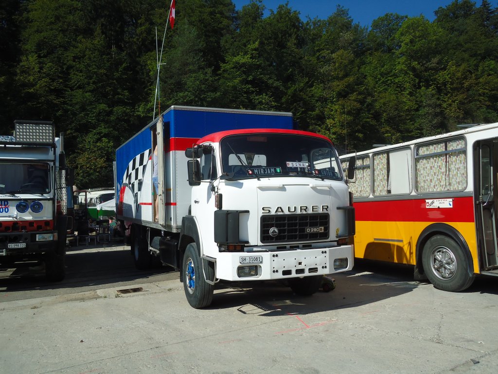 (128'985) - Saurer-Lastwagen - SH 31'081 - am 22. August 2010 in Thayngen