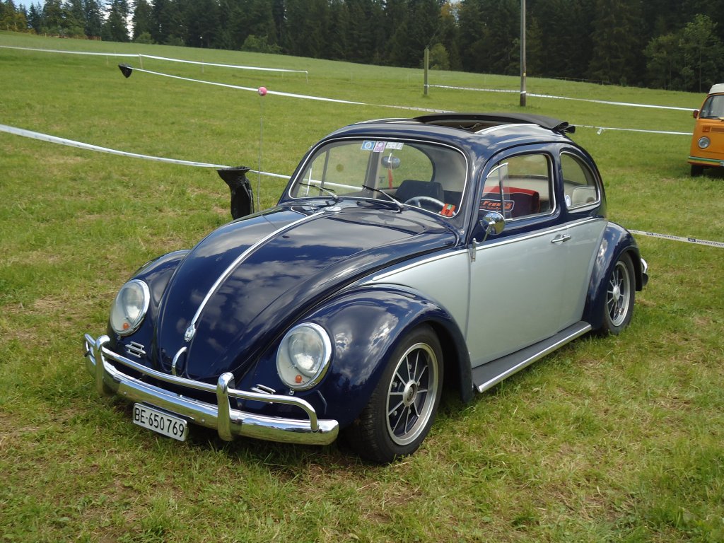 (129'239) - VW-Kfer - BE 650'769 - am 4. September 2010 in Wachseldorn