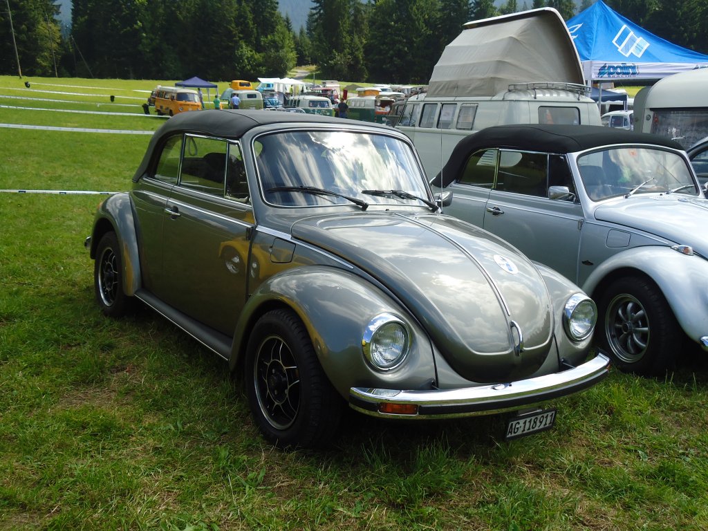(129'251) - VW-Kfer - AG 118'911 - am 4. September 2010 in Wachseldorn