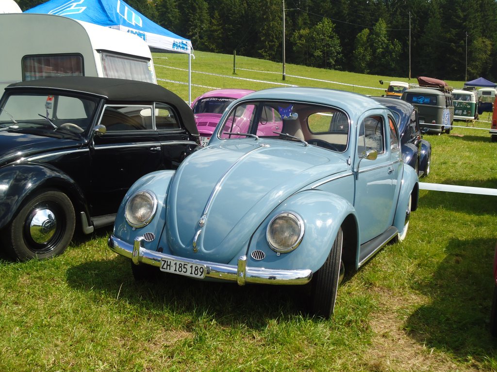 (129'256) - VW-Kfer - ZH 185'189 - am 4. September 2010 in Wachseldorn