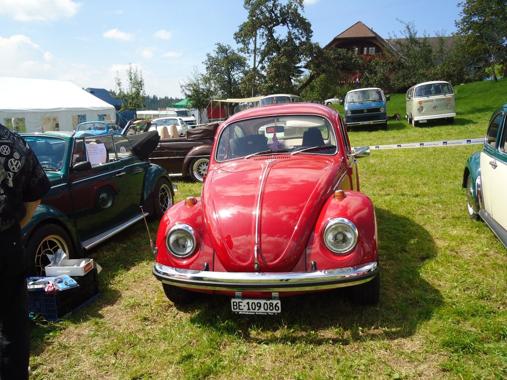 (129'258) - VW-Kfer - BE 109'086 - am 4. September 2010 in Wachseldorn