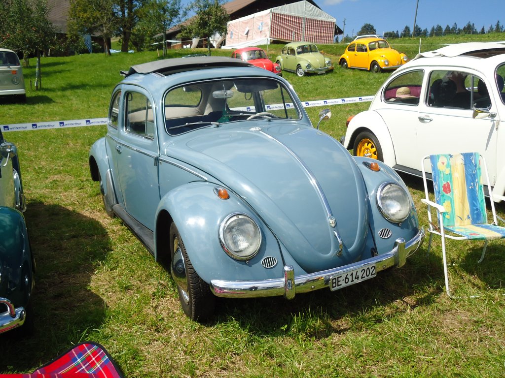 (129'260) - VW-Kfer - BE 614'202 - am 4. September 2010 in Wachseldorn