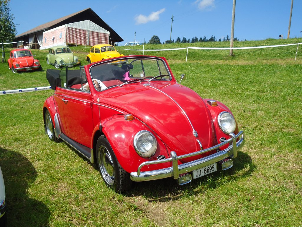 (129'262) - VW-Kfer - JU 8695 - am 4. September 2010 in Wachseldorn