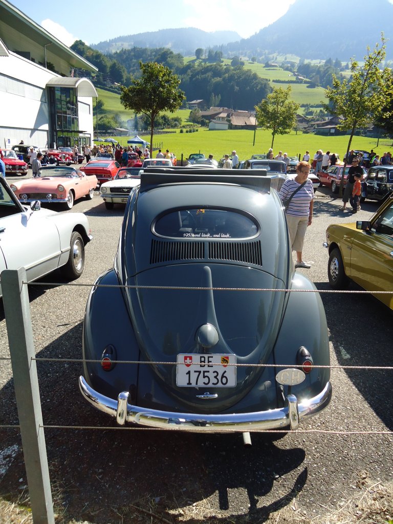 (129'357) - VW-Kfer - BE 17'536 - am 5. September 2010 in Reichenbach