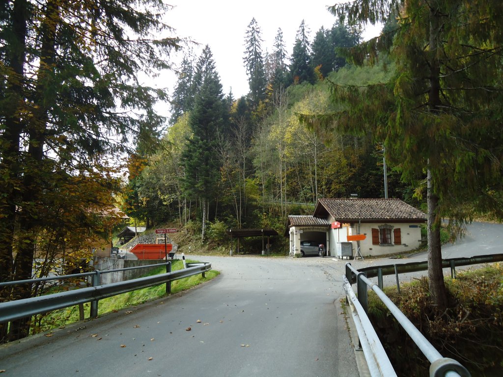 (130'313) - Im Frutigspissen Ladholz: Grenze Linter/Ladholz in der Schmitte am 11. Oktober 2010