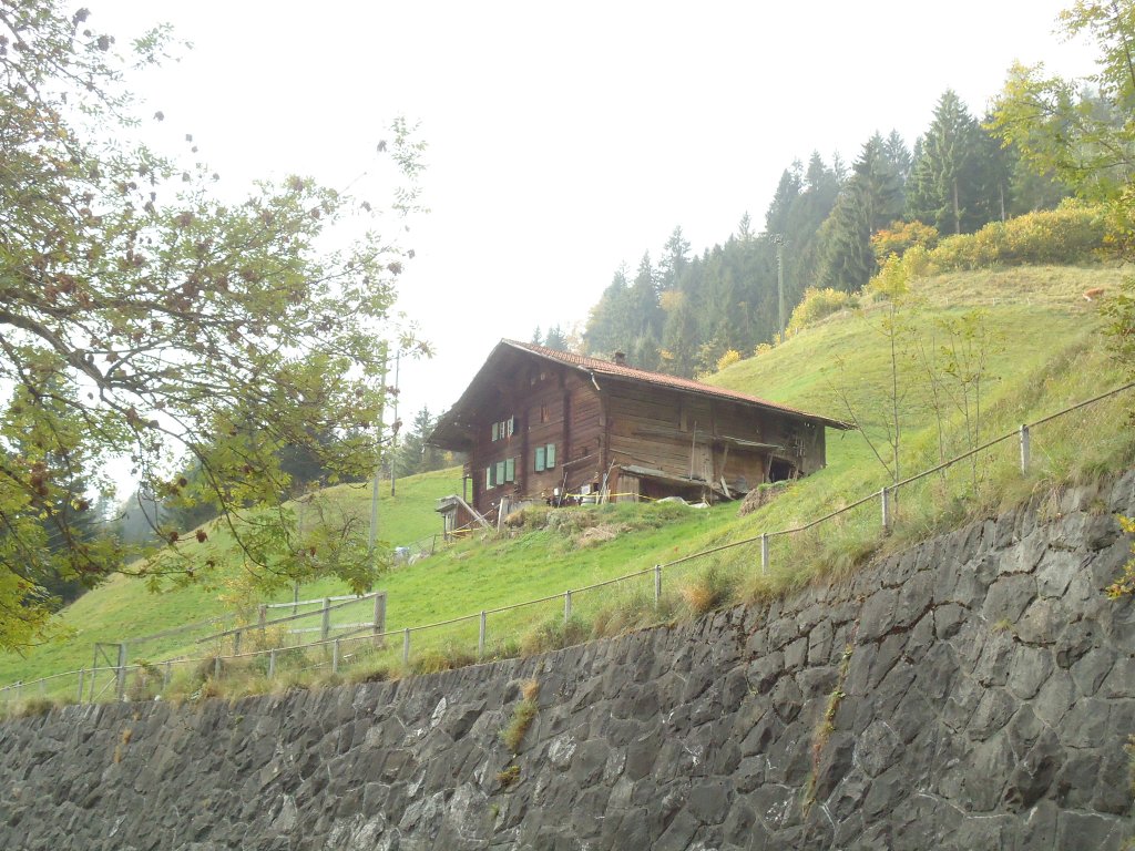 (130'330) - Im Frutigspissen Ladholz: Wohnhaus in der Bleike-Ladholz am 11. Oktober 2010