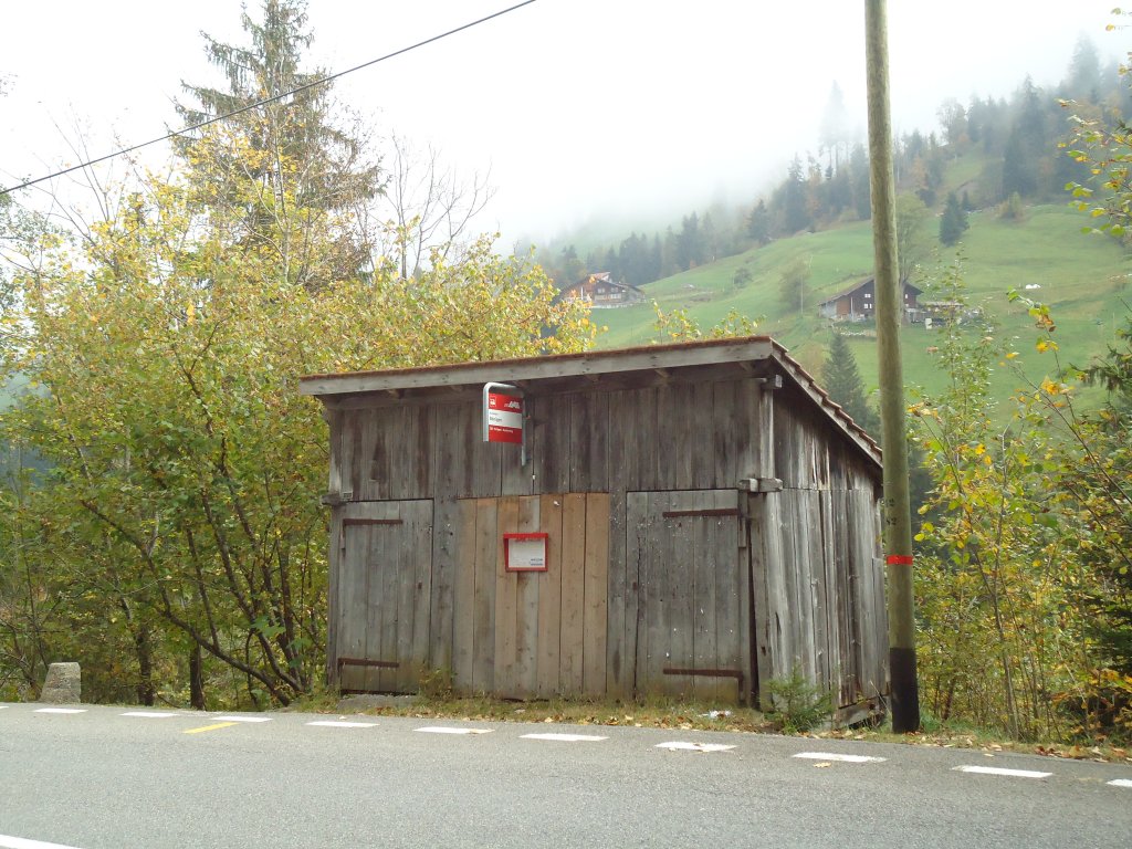 (130'336) - Im Frutigspissen Ladholz: AFA-Haltestelle Bnigen am 11. Oktober 2010