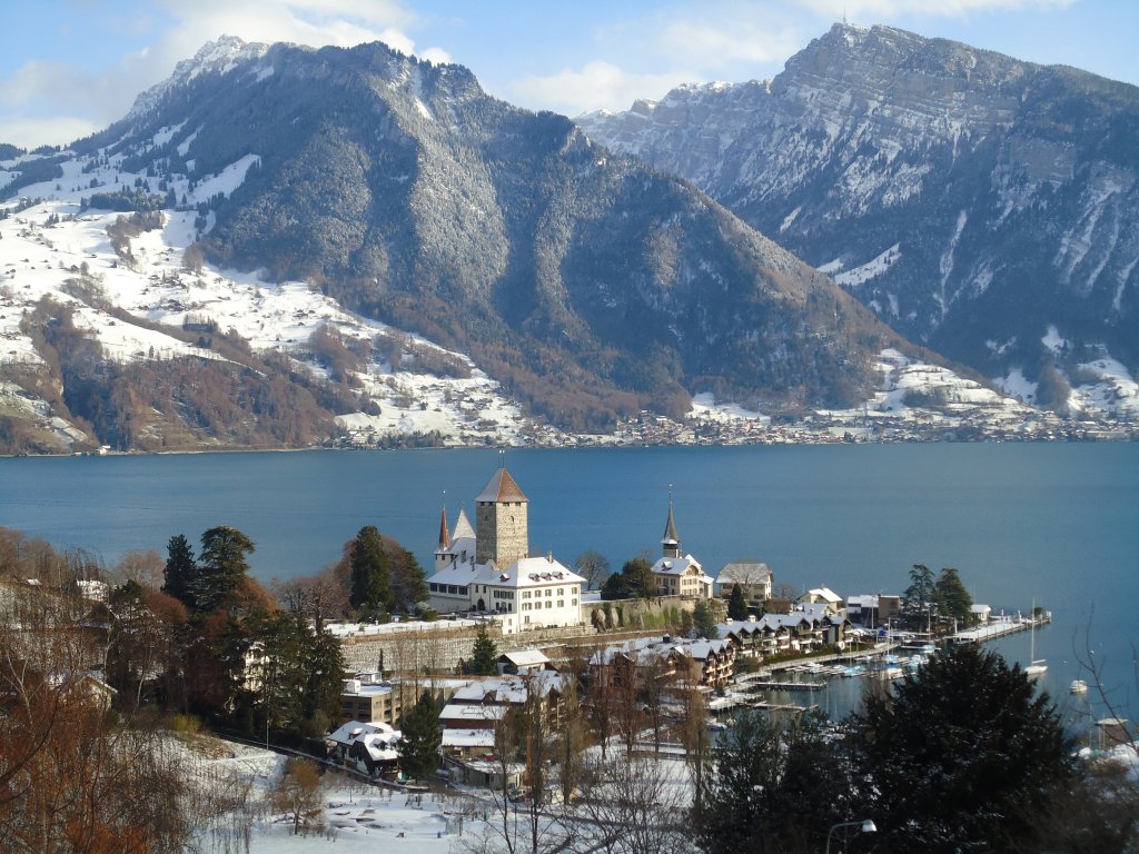 (131'144) - Spiez mit dem Schloss und Thunersee am 29. November 2010