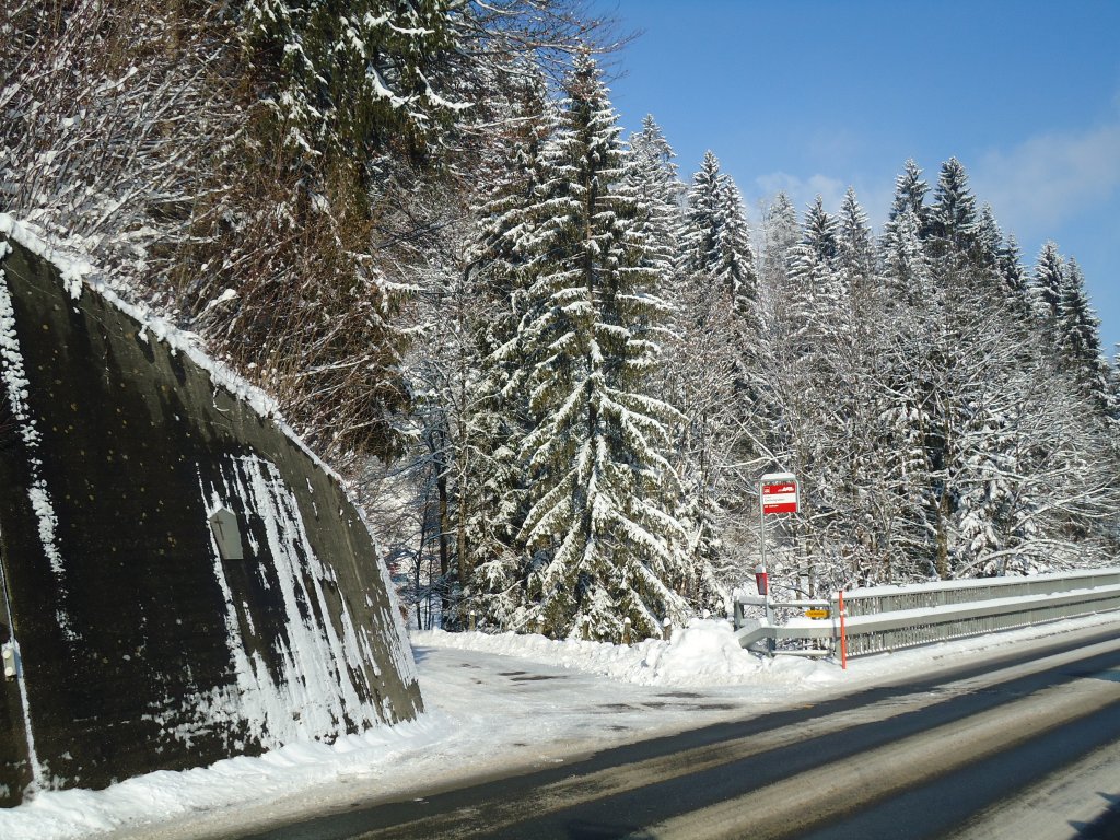 (131'699) - AFA-Haltestelle Gantengraben am 26. Dezember 2010