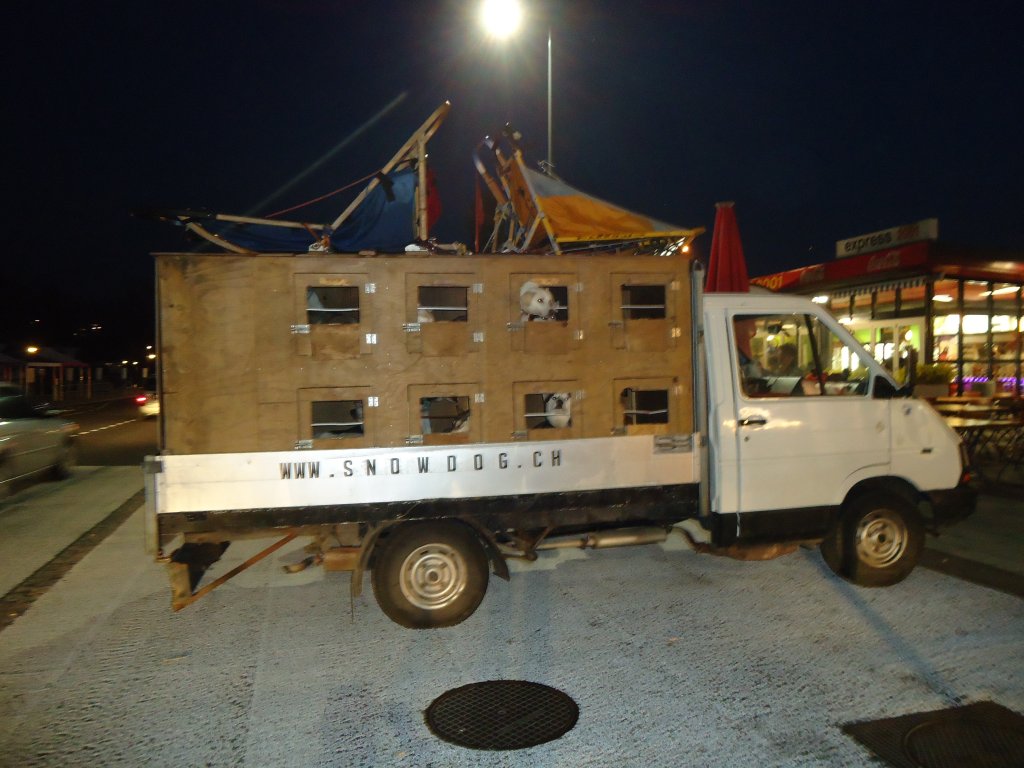 (132'666) - Lieferwagen mit Huskys beladen am 4. Mrz 2011 beim Bahnhof Thun