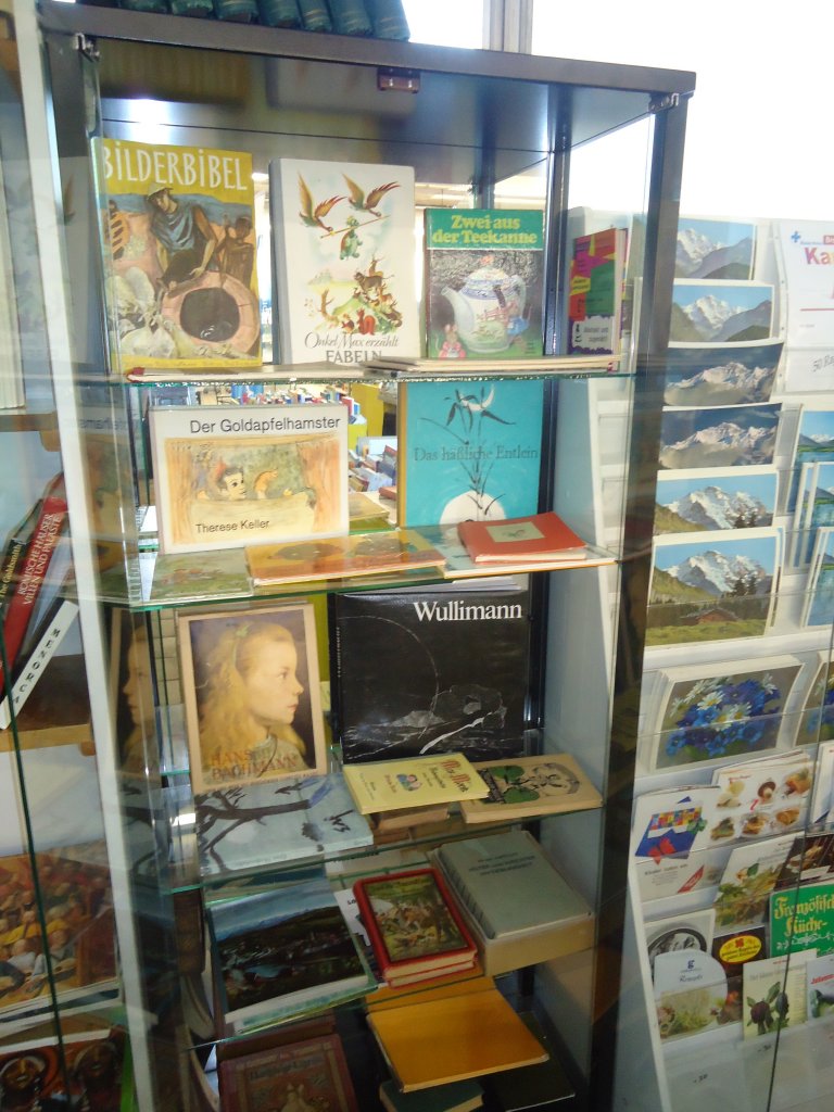 (133'483) - Bcherabteilung im BrockiShop am 26. April 2011