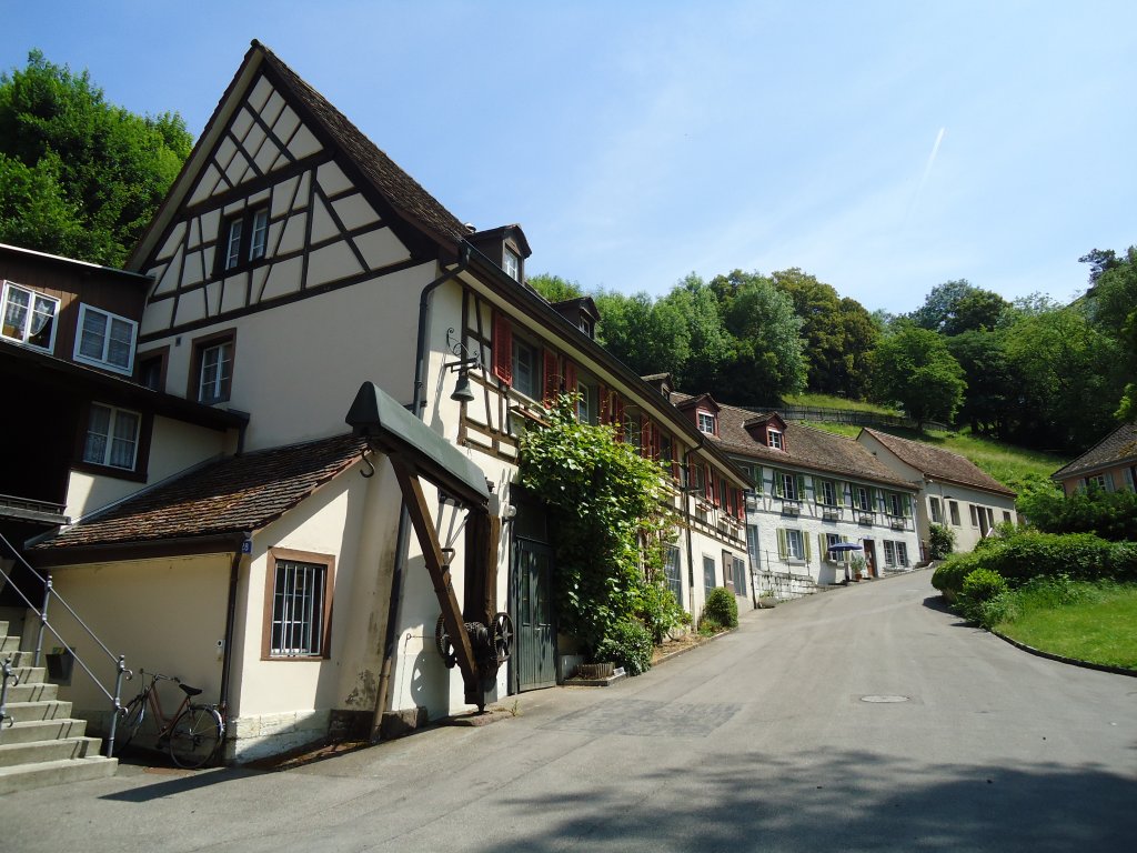 (133'764) - Husergruppe am 23. Mai 2011 bei Neuhausen am Rheinfall