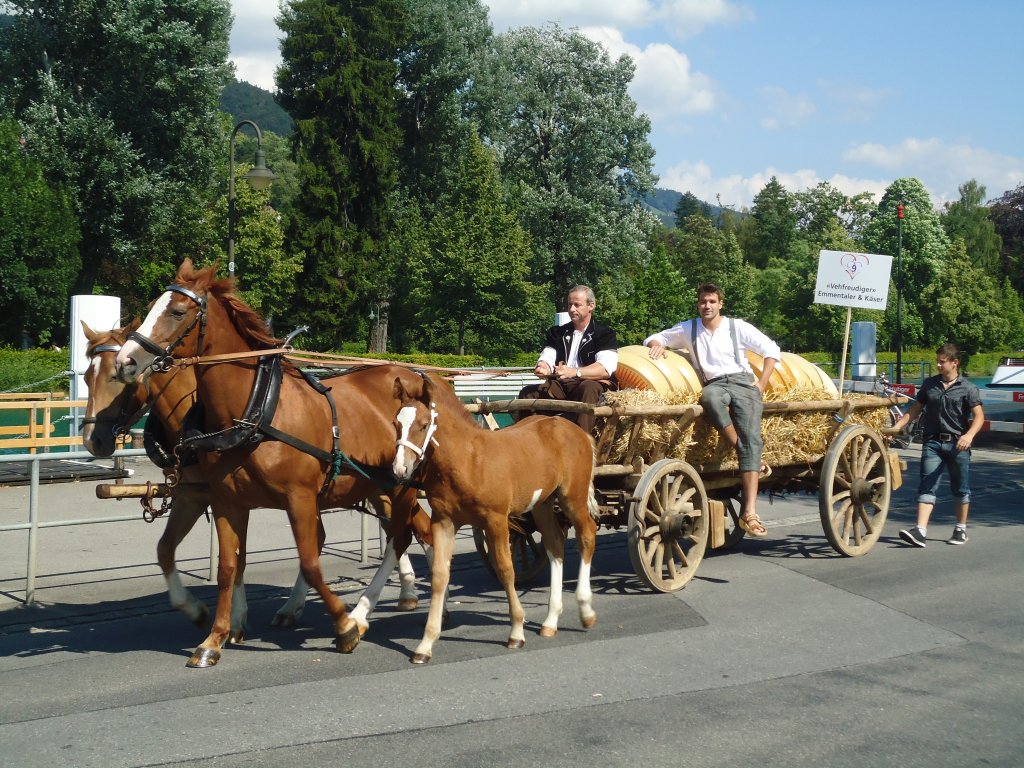 (134'613) -  Vehfreudiger  Emmentaler & Kser am 2. Juli 2011 bei der Schifflndte Thun