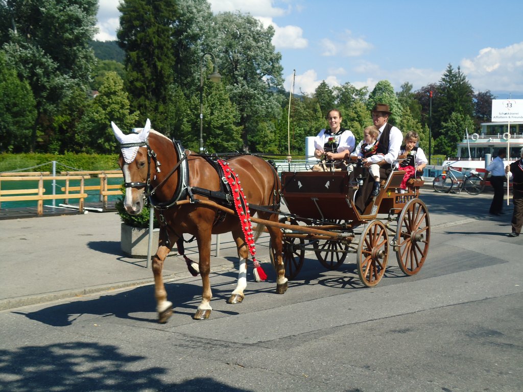 (134'616) - Familienausflug am 2. Juli 2011 bei der Schifflndte Thun
