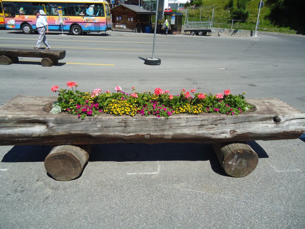 (134'755) - Blumentrgli in Grindelwald am 3. Juli 2011