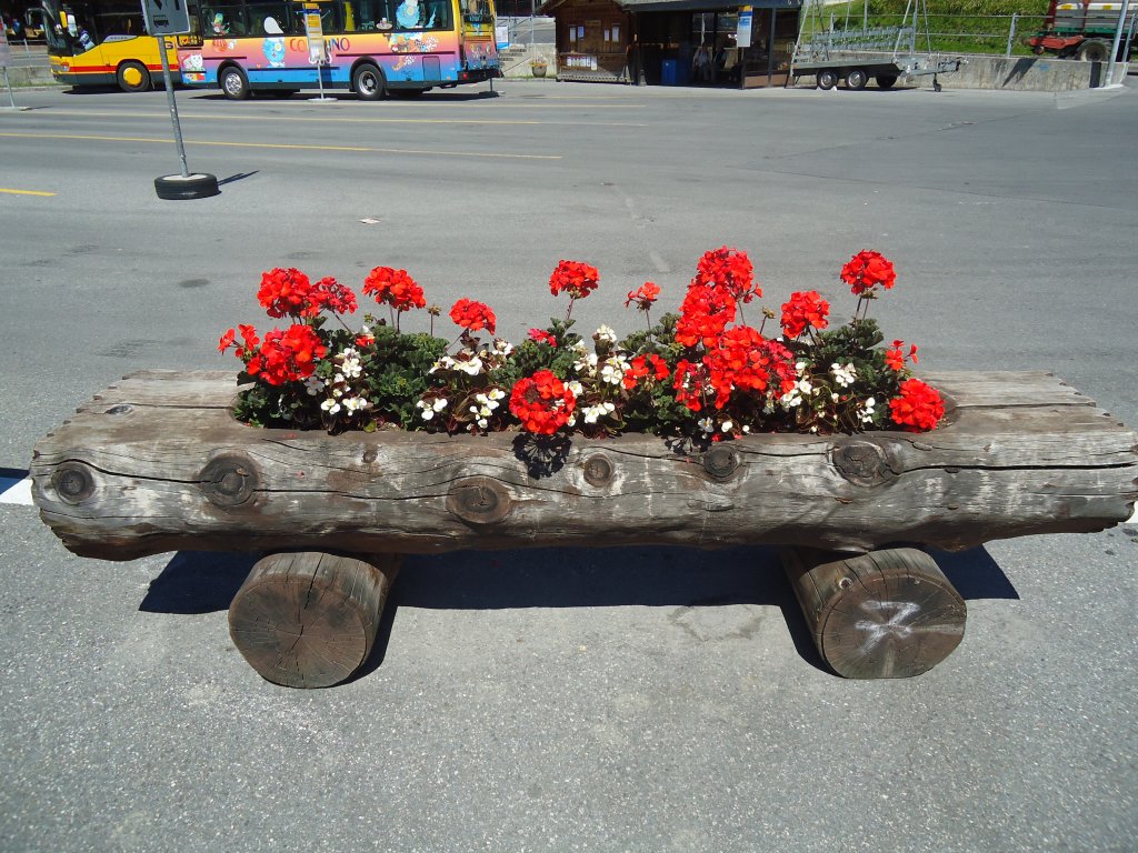(134'756) - Blumentrgli in Grindelwald am 3. Juli 2011
