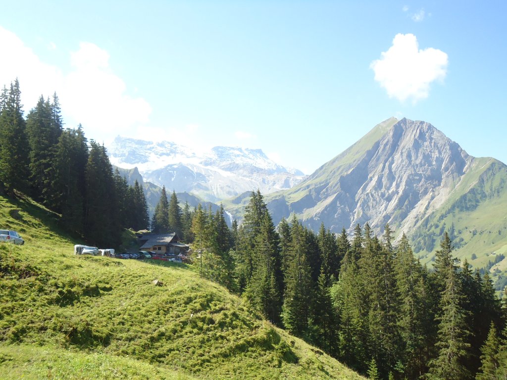 (135'382) - Auf der Alp Laueli bei Adelboden am 1. August 2011