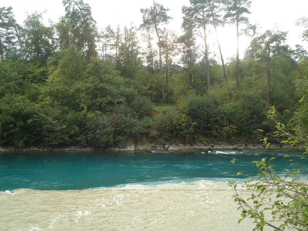 (135'973) - Die Zulg mndet in die Aare am 18. September 2011 nach einem Gewitter im Zulgtal