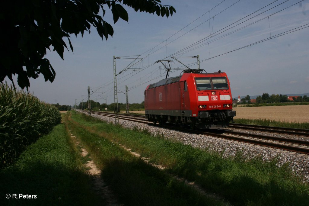 185 065-0 als Lz bei Moosham. 03.08.11