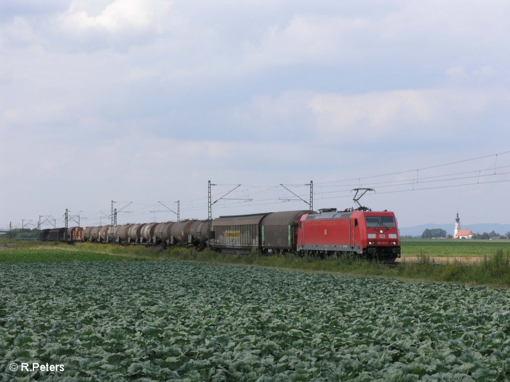 185 341-5 zieht bei Stephansposching ein gemischten Gterzug in Richtung Plattling. 08.08.09
