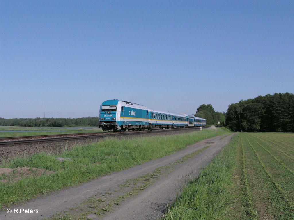 223 063 mit ALX87010 nach Hof bei Oberteich. 04.06.10