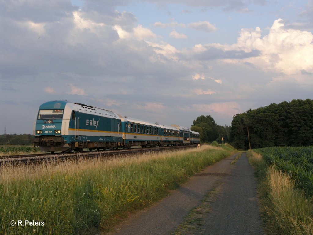 223 064 mit Alex nach Hof bei Oberteich. 16.07.10