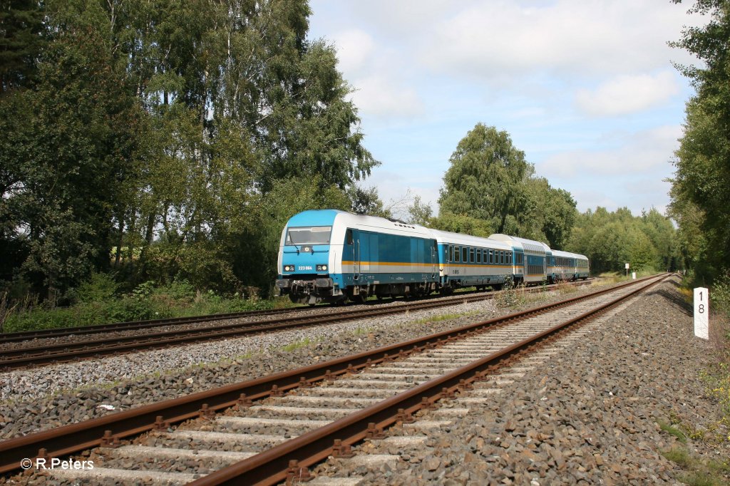 223 064 mit dem ALX84115 Hof - Mnchen bei Schnfeld. 10.09.11