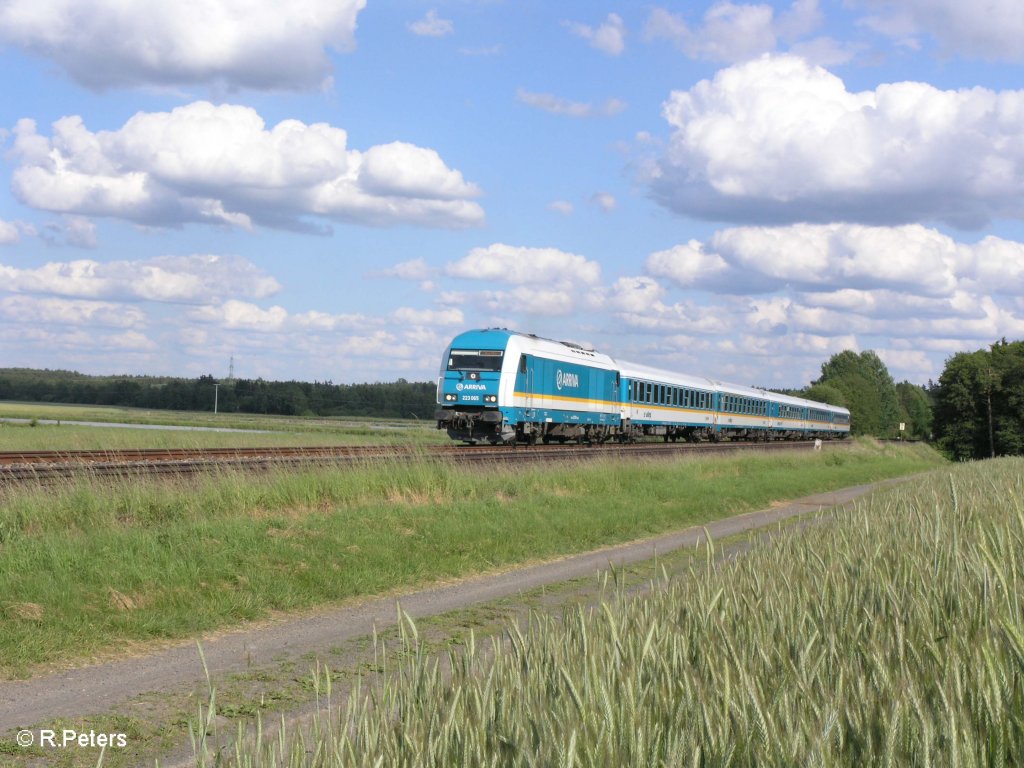 223 065 zieht bei Oberteich den ALX37980 nach Hof . 10.06.09
