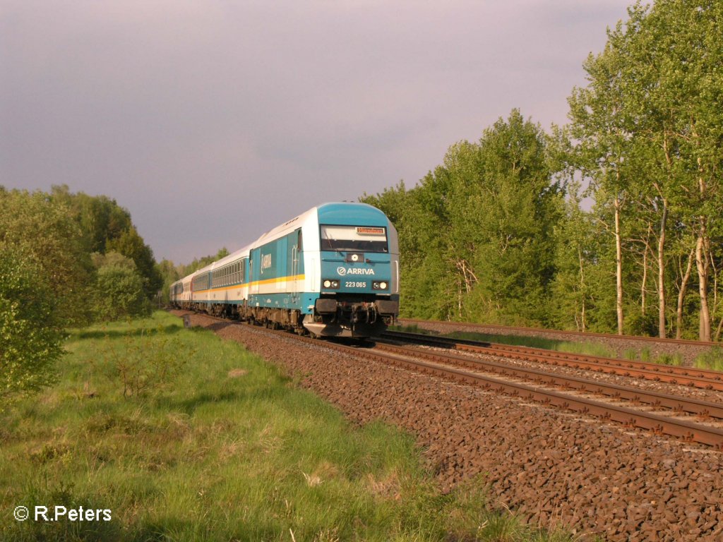 223 065 zieht bei Schnfeld den ALX37987 nach Mnchen. 14.05.08