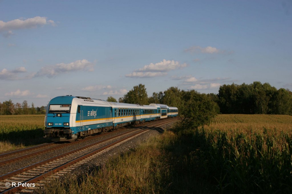 223 066 mit dem ALX84110 Mnchen - Hof bei Unterthlau. 08.09.12