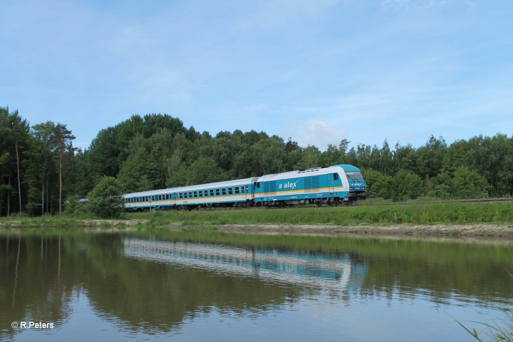 223 067 mit dem ALX84102 Mnchen - Hof sdlich von Wiesau. 16.06.13