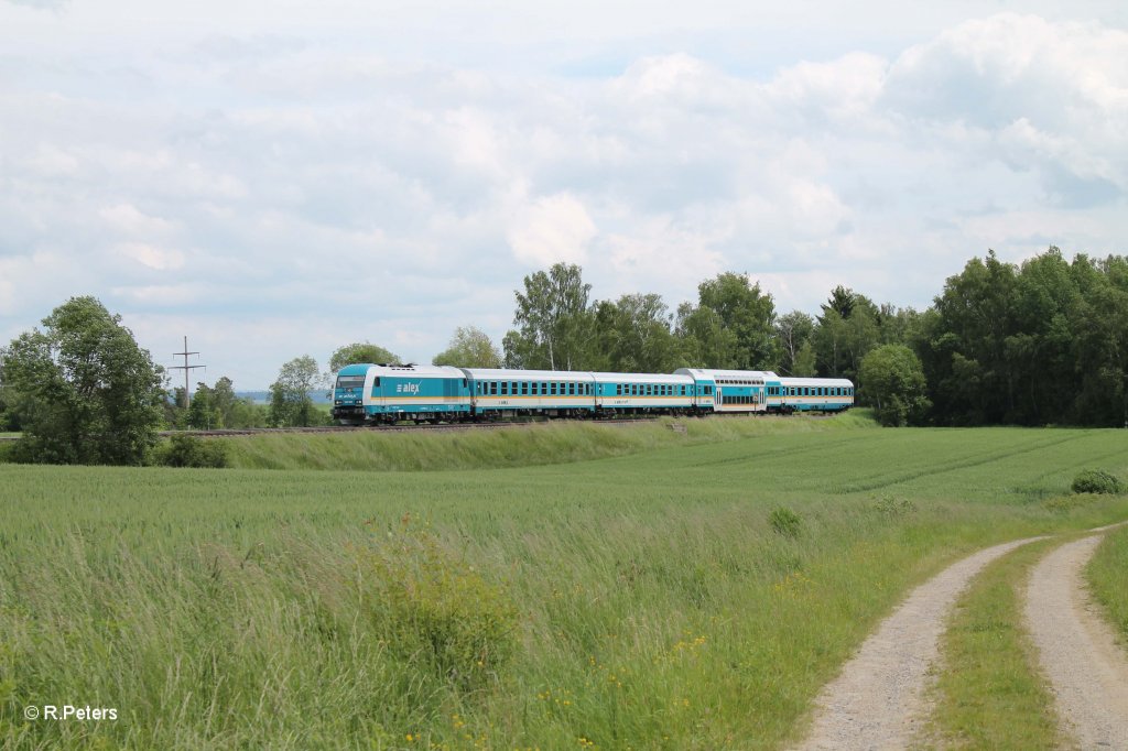 223 067 mit dem ALX84106 Mnchen - Hof bei Unterthlau. 15.06.13