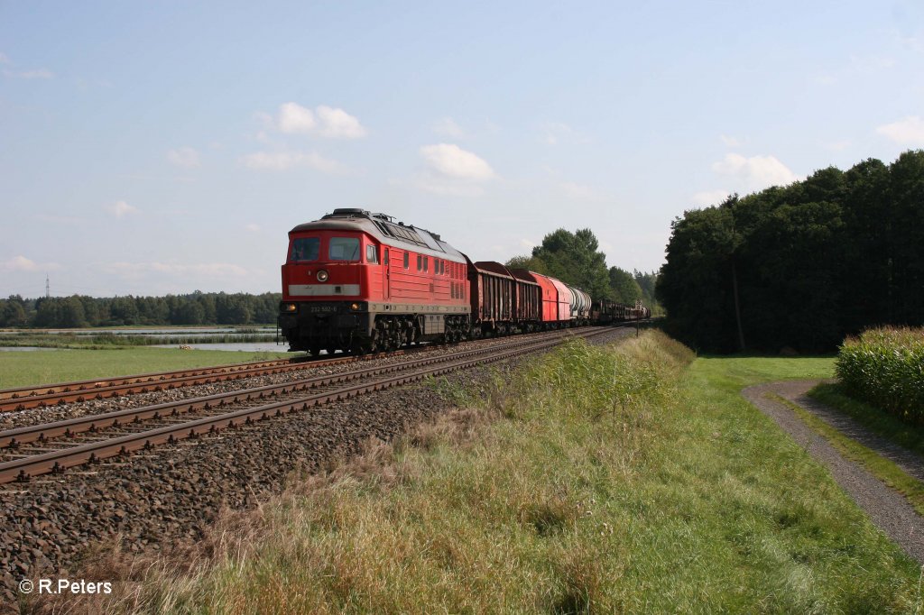 223 592-6 mit umgeleiteten Mischer bei Oberteich. 17.09.11