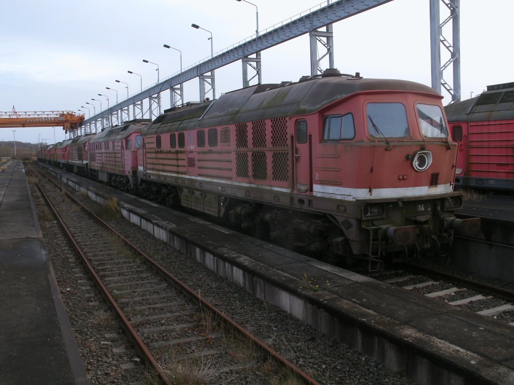 232 114 zusammen mit dem Rest abgestellter Ludmilas,am 26.November 2011,in Mukran.