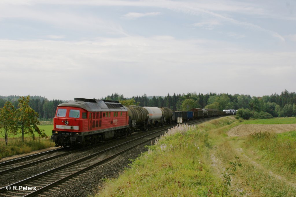 232 230-3 mit dem FIR51504 bei Waldershof. 02.09.11