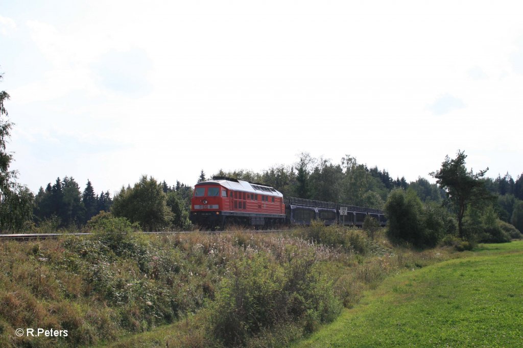 232 262-6 mit dem 49997 bei Waldershof. 11.09.12