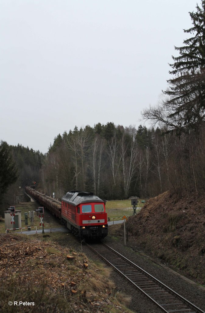 232 618-9 mit Langschienenzug bei Elisenfels. 05.02.13