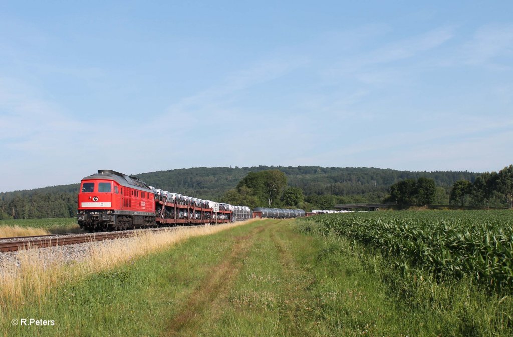 232 654-4 mit dem umgeleiteten 51683 Zwickau - Nrnberg bei Oberteich. 17.07.13