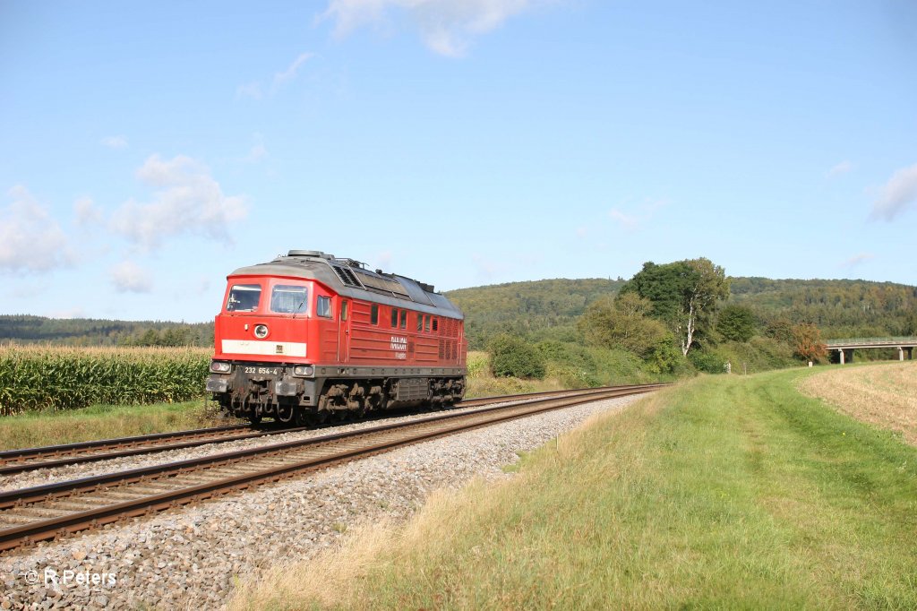 232 654-4 solo bei Oberteich. 14.09.11