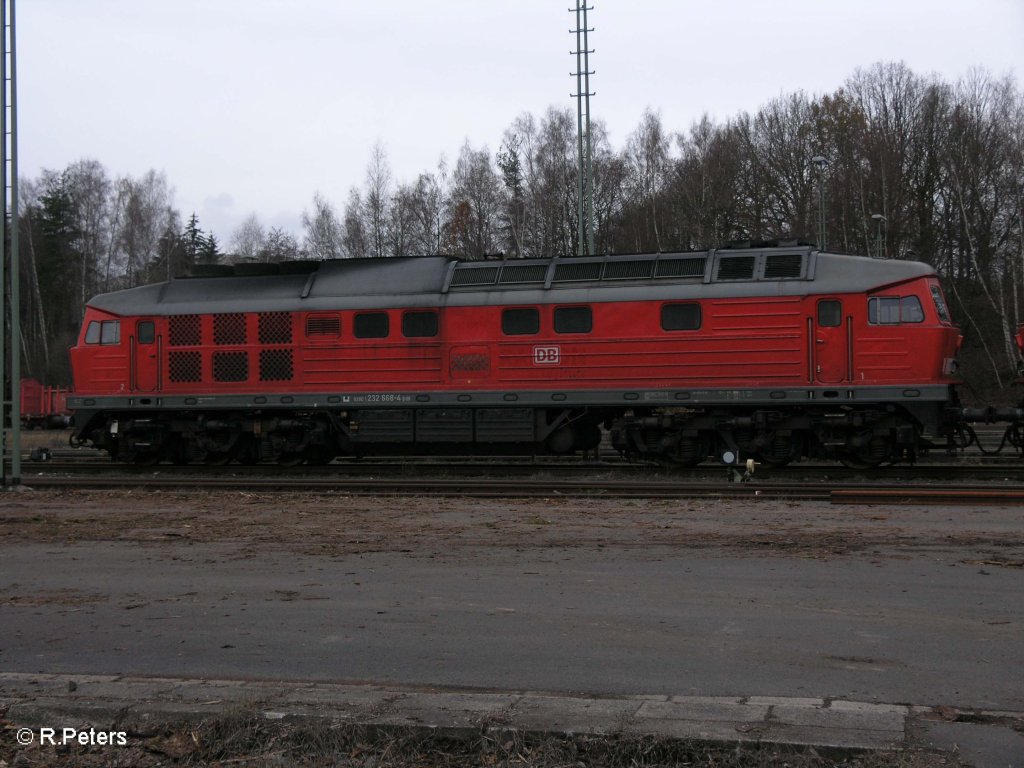 232 668-4 steht mit anderen maschinen in Marktredtwitz abgestellt. 22.11.09