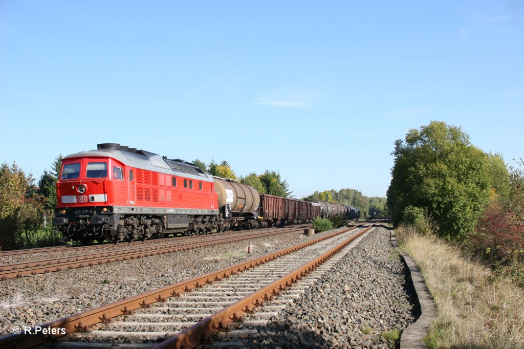 233 217-3 mit dem 45362 von Cheb nach Nrnberg bei Schnfeld. 30.09.12