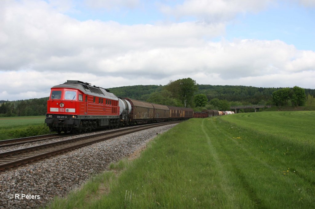 233 217-9 mit dem 45362 Cheb - Nrnberg bei Oberteich. 13.05.12