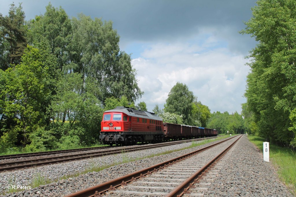 233 217-9 mit dem Schrottzug 49350 Cheb - Nrnberg bei Schnfeld. 06.06.13