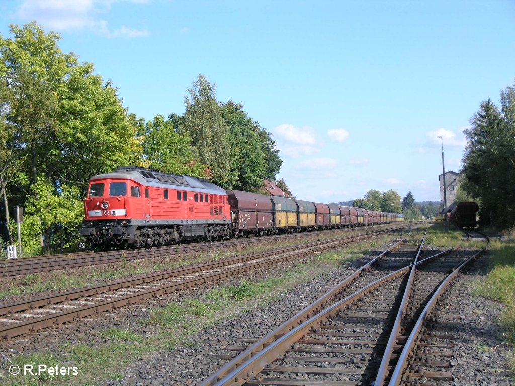 233 288-0 durchfhrt Pechbrunn mit einer Polenkohle. 26.09.08