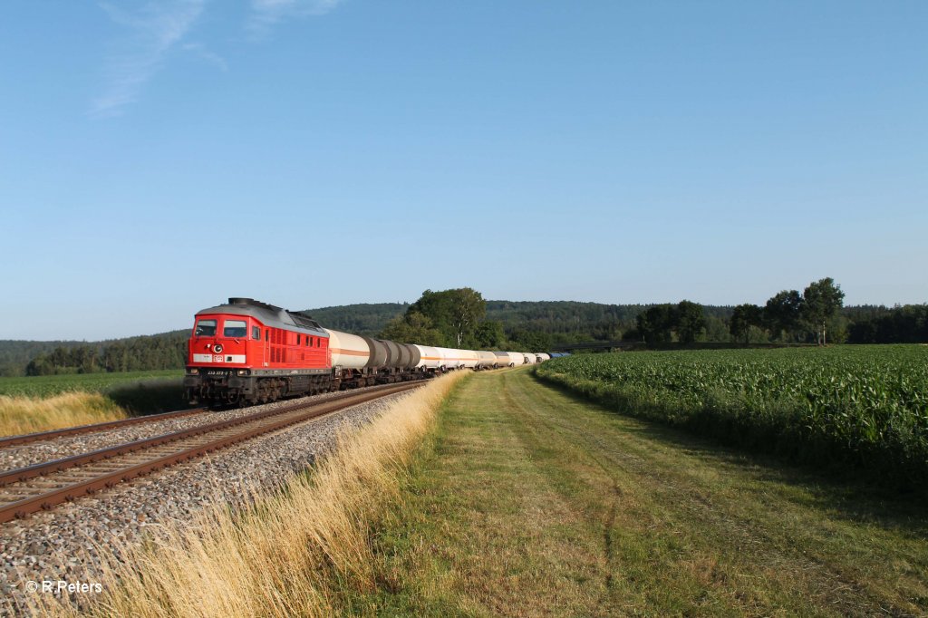 233 373-0 mit dem umgeleiteten 45360 Cheb - Nrnberg bei Oberteich. 19.07.13