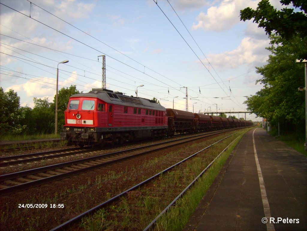 233 441-5 durchfhrt Saarmund mit ein Schotterzug. 24.05.09